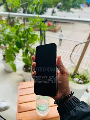Apple iPhone 14 Pro Max 128 GB Gold