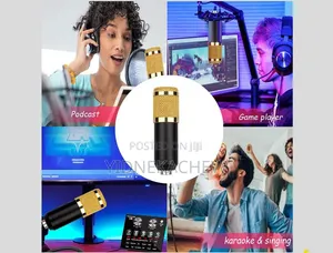 Proffessional Microphone