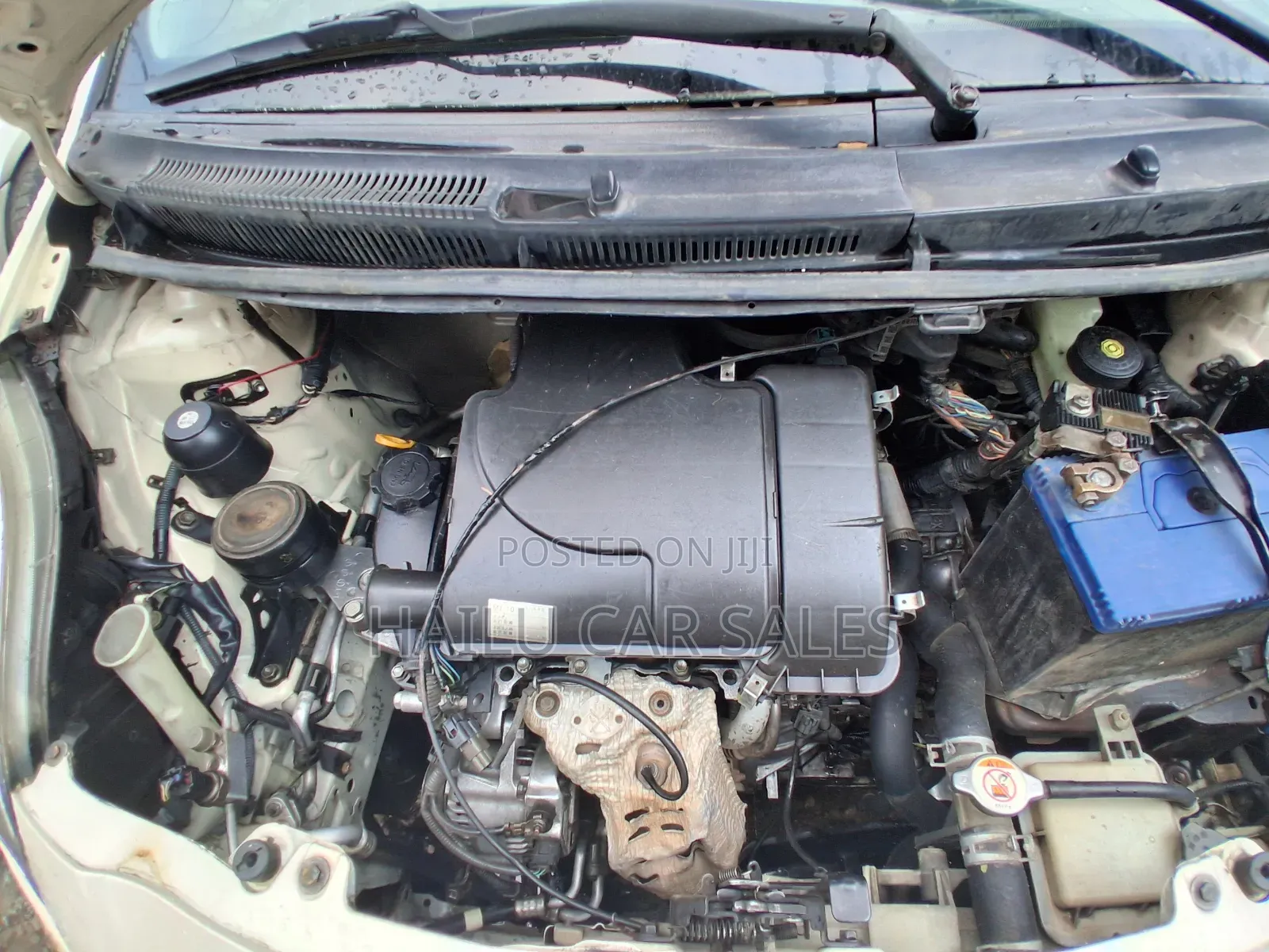 Toyota Yaris 2006 White