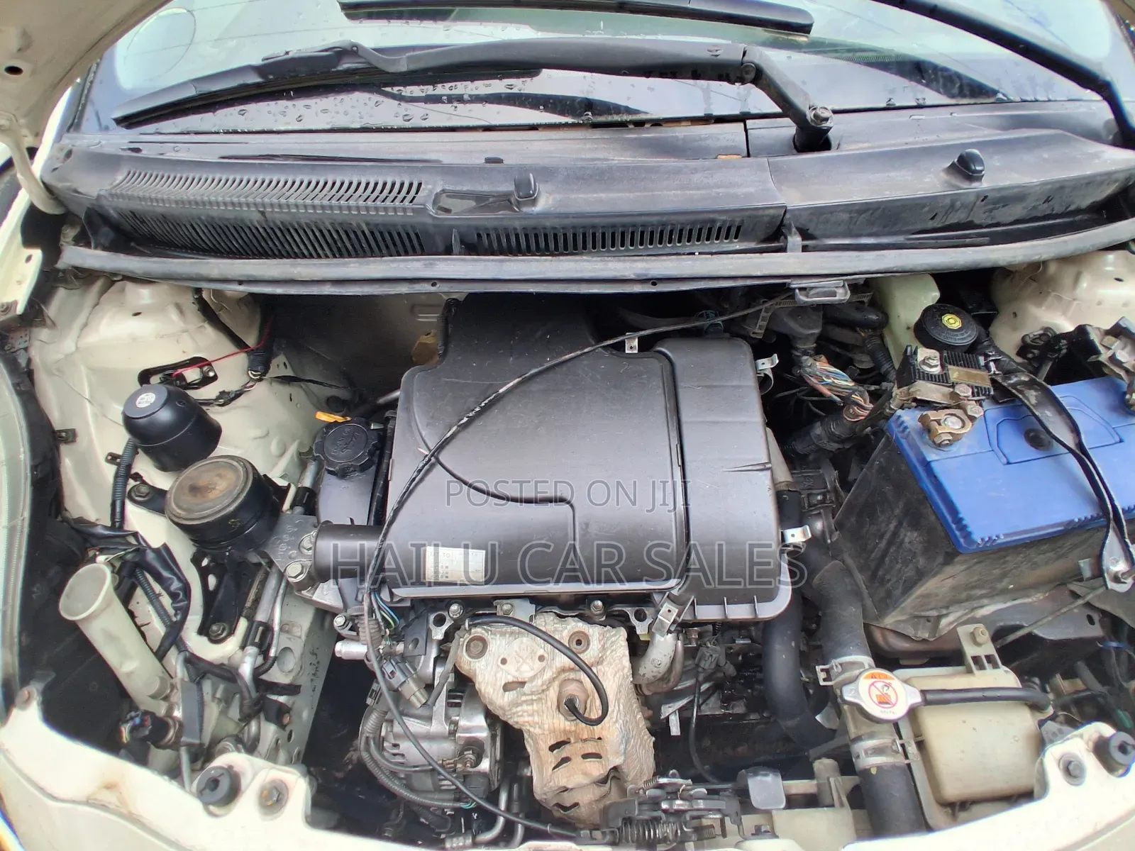 Toyota Yaris 2006 White