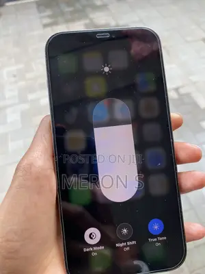 Apple iPhone 12 Pro Max 256 GB Gray