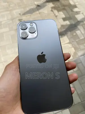 Apple iPhone 12 Pro Max 256 GB Gray