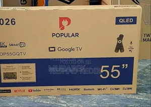 Popular Electronics
