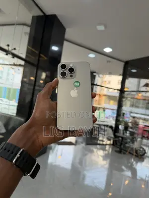 Apple iPhone 15 Pro Max 256 GB Silver