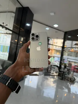Apple iPhone 15 Pro Max 256 GB Silver