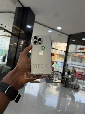 Apple iPhone 15 Pro Max 256 GB Silver
