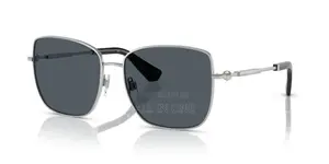 Men’s Sunglasses Aviator