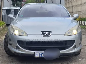 Peugeot 407 2007 Silver