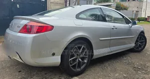 Peugeot 407 2007 Silver