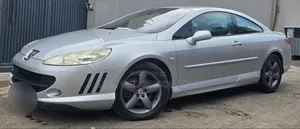 Peugeot 407 2007 Silver