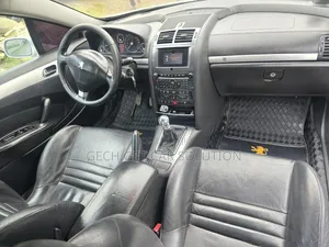 Peugeot 407 2007 Silver