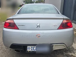 Peugeot 407 2007 Silver