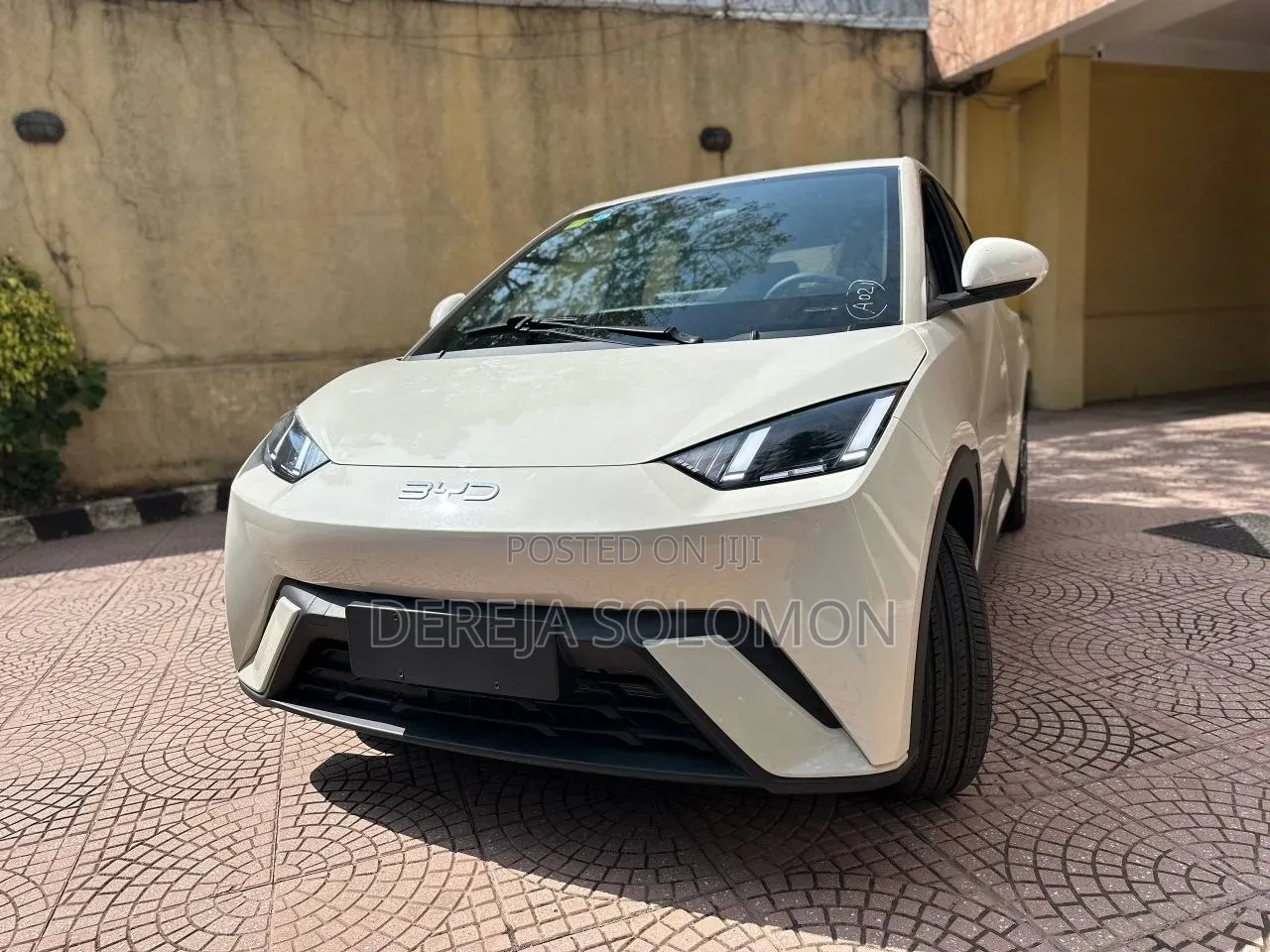 New BYD Seagull 2025 White