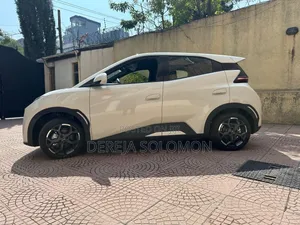 New BYD Seagull 2025 White