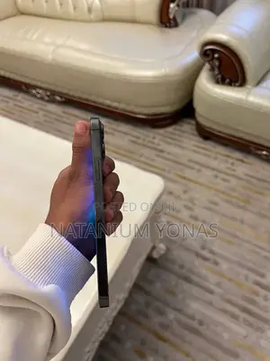 New Apple iPhone 13 Pro Max 256 GB Silver