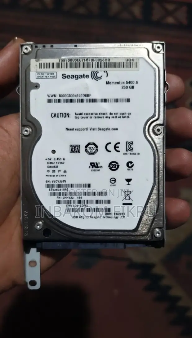 Seagate 250 GB HDD