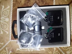 F11- 2 Dual Wireless Microphone System