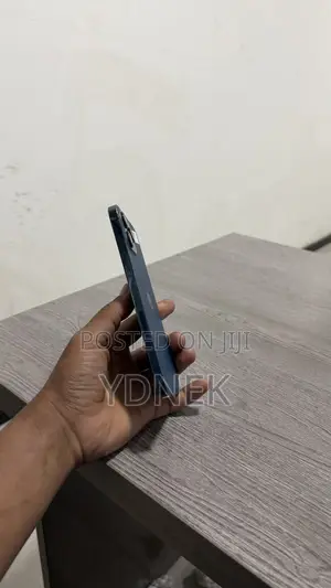 Apple iPhone 12 Pro Max 256 GB Blue