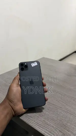 Apple iPhone 11 Pro Max 256 GB Gray