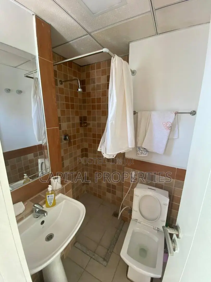 Furnished 3bdrm Apartment in Bole for sale