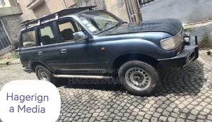 Toyota Land Cruiser 1993 Blue
