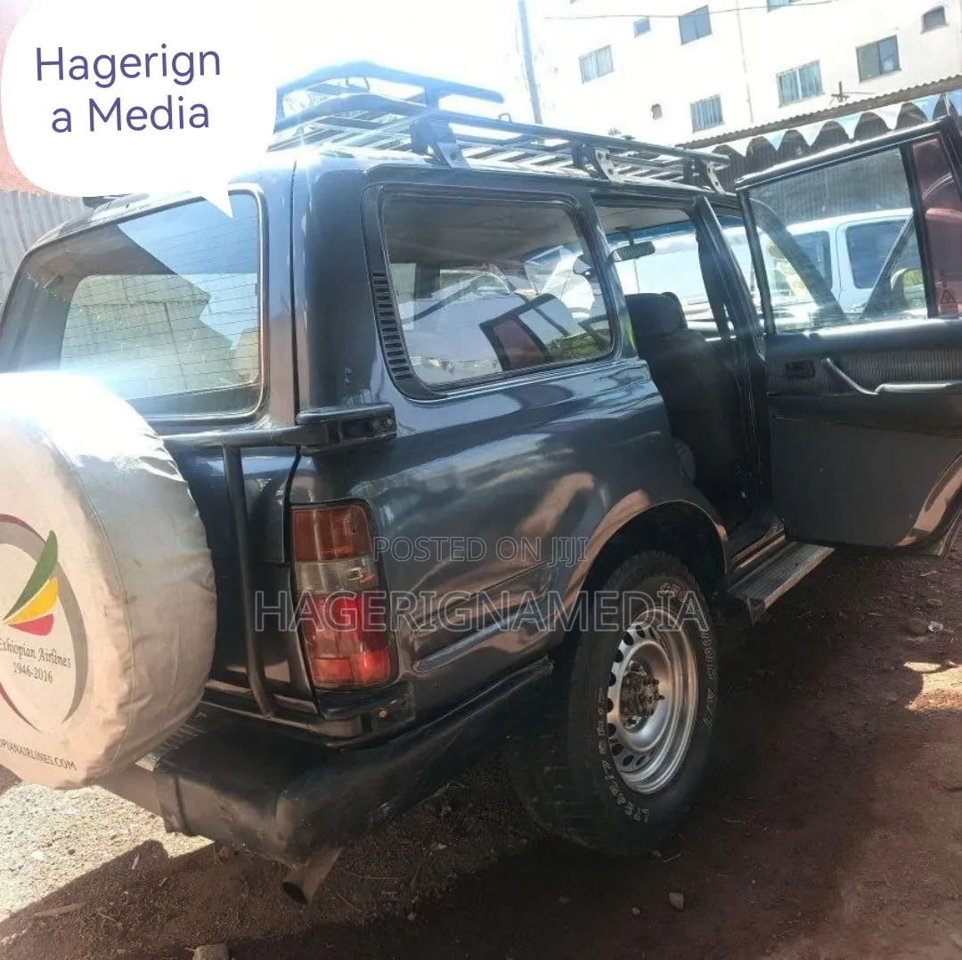 Toyota Land Cruiser 1993 Blue