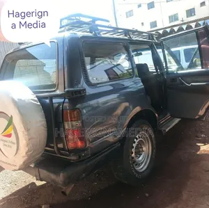 Toyota Land Cruiser 1993 Blue