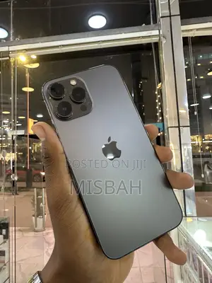 Apple iPhone 13 Pro Max 256 GB Graphite