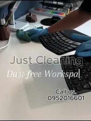 Professional Office Cleaner in Addis.