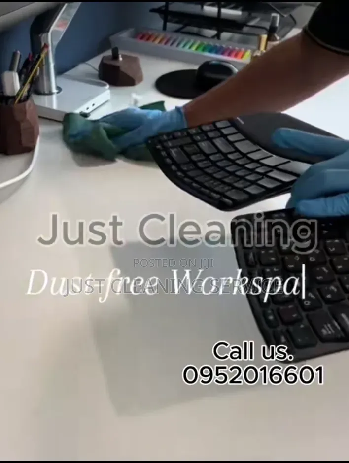 Professional Office Cleaner in Addis.