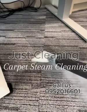 Professional Office Cleaner in Addis.