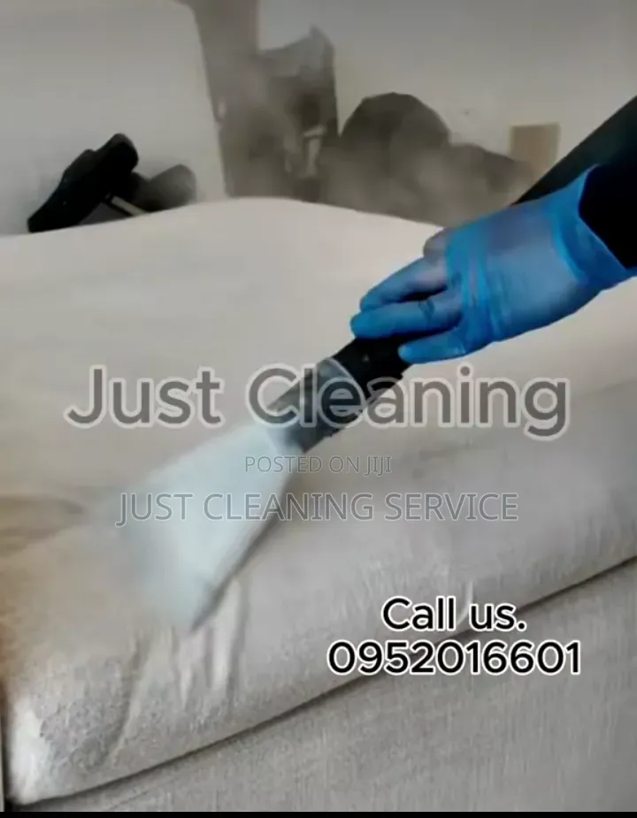 Professional Office Cleaner in Addis.