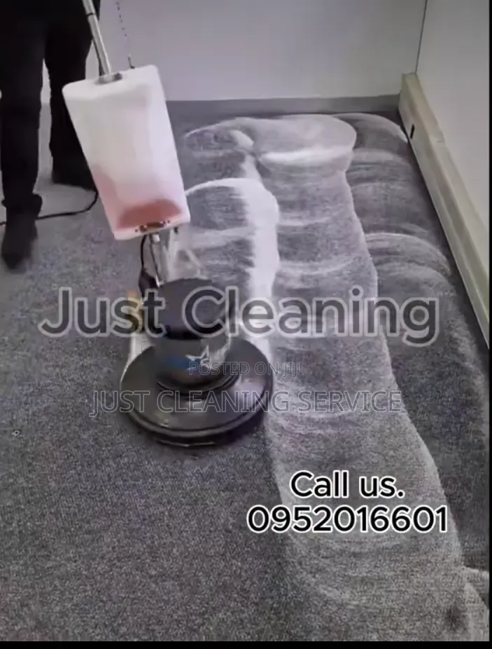Professional Office Cleaner in Addis.