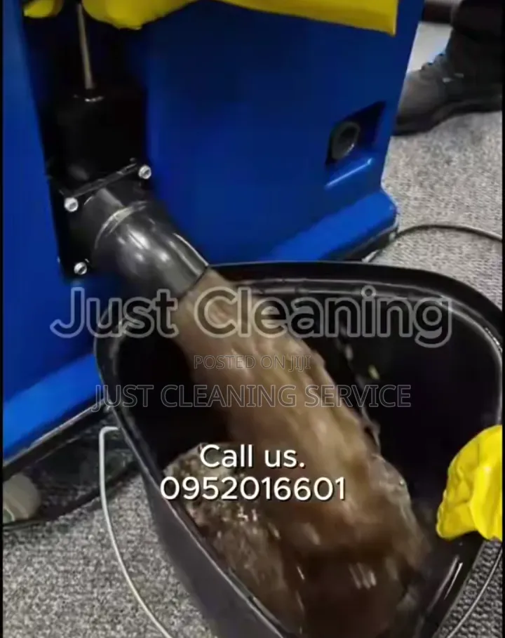 Professional Office Cleaner in Addis.