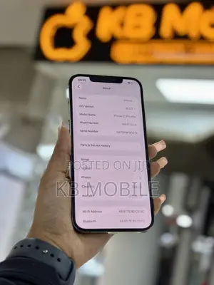 Apple iPhone 12 Pro Max 256 GB Graphite
