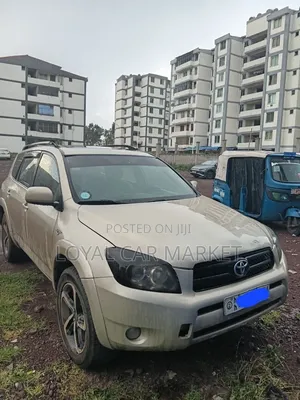 Toyota RAV4 2007 Gray