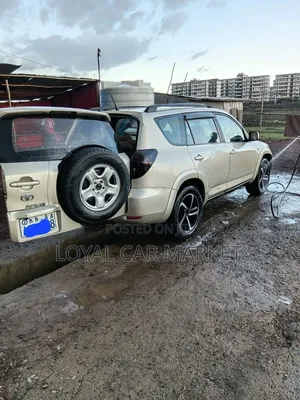 Toyota RAV4 2007 Gray