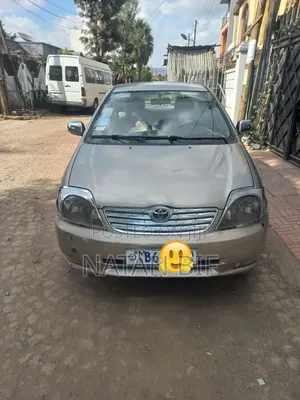 Toyota Corolla 2003 Gray