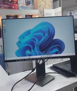 Dell 24 Inch Monitor