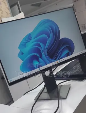 Dell 24 Inch Monitor