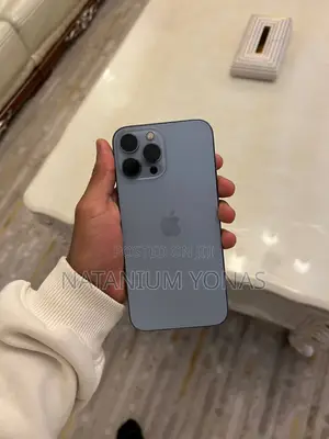 Apple iPhone 13 Pro Max 256 GB Silver