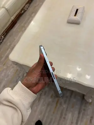 Apple iPhone 13 Pro Max 256 GB Silver
