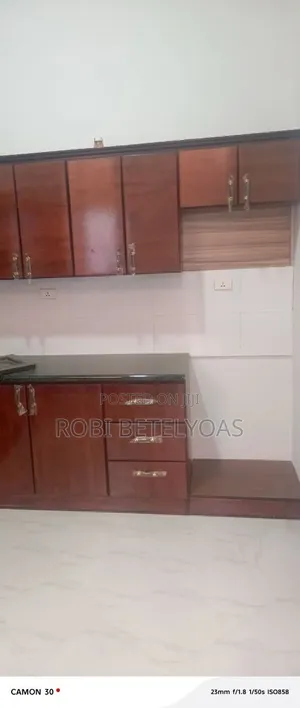 Furnished 4bdrm House in L Sheep, East Shewa for sale