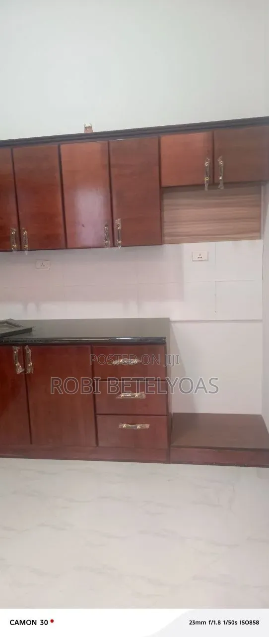 Furnished 4bdrm House in L Sheep, East Shewa for sale