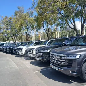 Toyota Land Cruiser VIP Fleet Rental With Driver