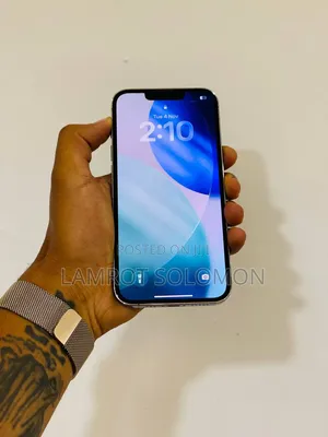 Apple iPhone 13 Pro 256 GB Gray