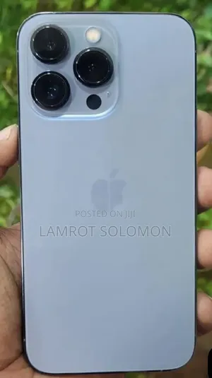 Apple iPhone 13 Pro 256 GB Gray