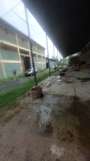 Ware House for Rent