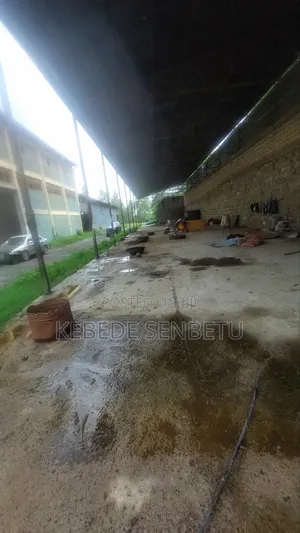 Ware House for Rent