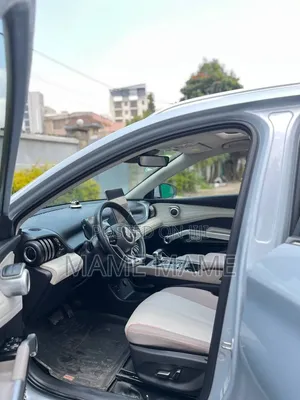 New BYD Yuan Plus 2024 Gray